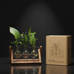 Hydroponic Glass Bulb Vase with Wooden Stand for Home Office Decor