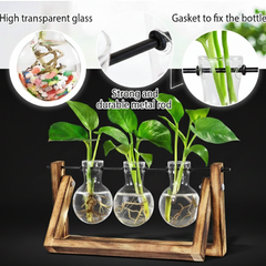 Hydroponic Glass Bulb Vase with Wooden Stand for Home Office Decor