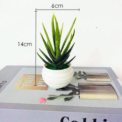 Artificial Succulent Potted Plant for Home & Office Decor