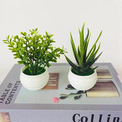 Artificial Succulent Potted Plant for Home & Office Decor